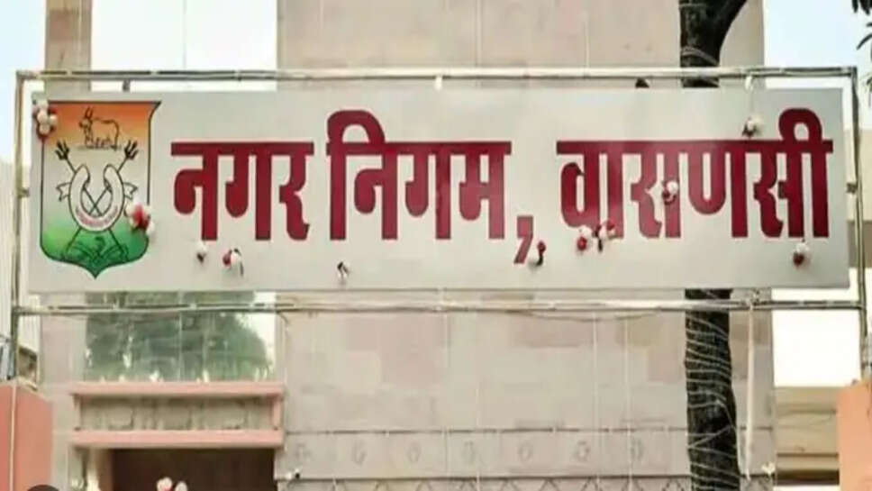 नगर निगम