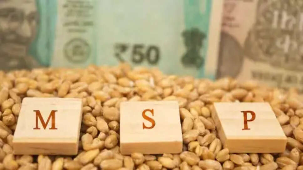 MSP Procurement 2025
