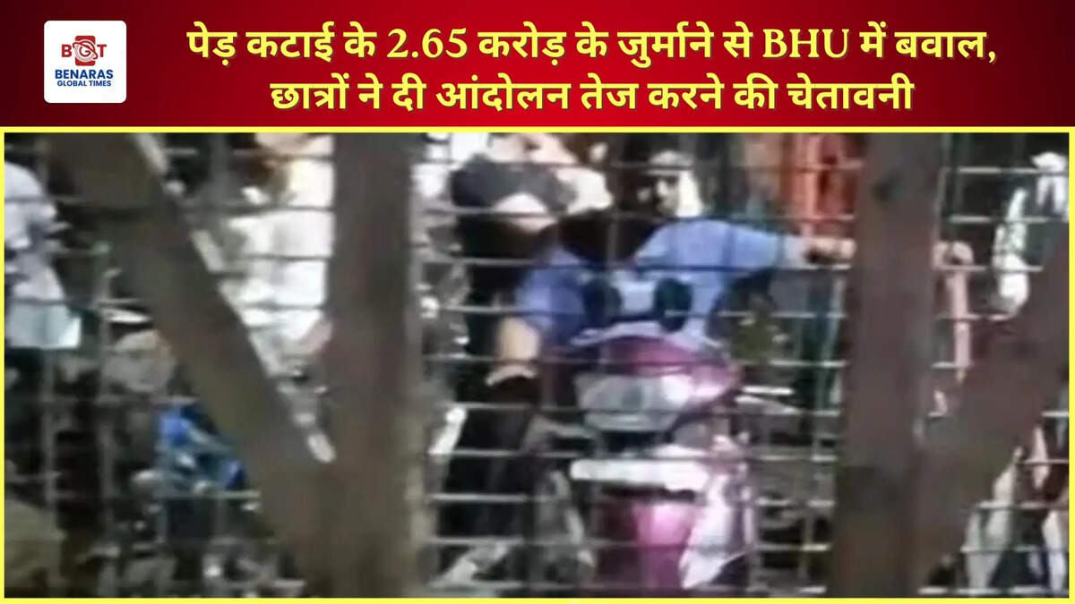  पेड़ कटाई के 2.65 करोड़ के जुर्माने से BHU में बवाल, छात्रों ने दी आंदोलन तेज करने की चेतावनी