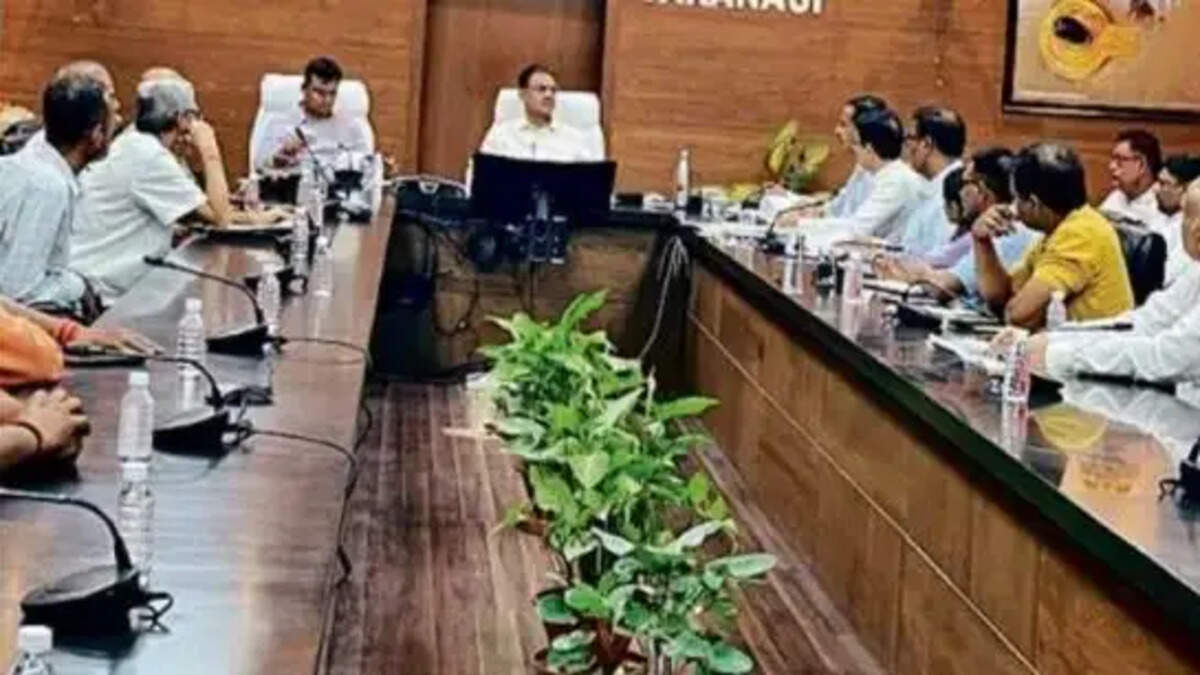 LPG ऑटो रिक्शा
