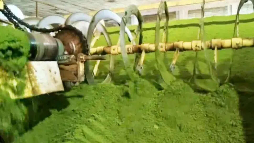 Nepal Tea Industry