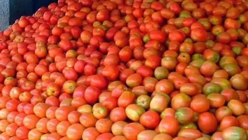 टमाटर से भरा ट्रक भेजने का झांसा