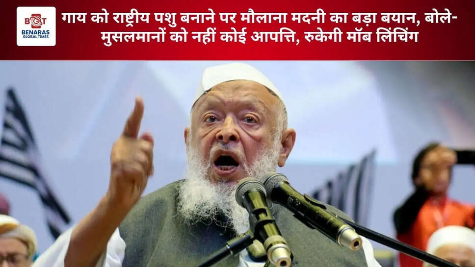 गाय को राष्ट्रीय पशु बनाने पर मौलाना मदनी का बड़ा बयान, बोले- मुसलमानों को नहीं कोई आपत्ति, रुकेगी मॉब लिंचिंग