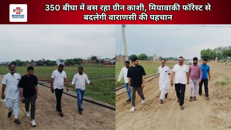 350 बीघा में बस रहा ग्रीन काशी, मियावाकी फॉरेस्ट से बदलेगी वाराणसी की पहचान