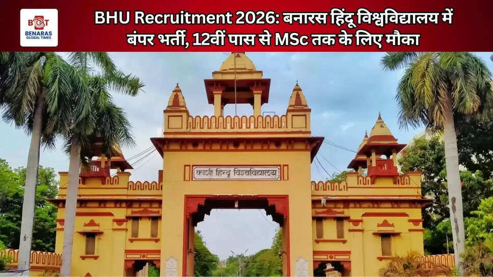 BHU Recruitment 2026: बनारस हिंदू विश्वविद्यालय में बंपर भर्ती, 12वीं पास से MSc तक के लिए मौका