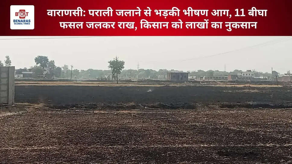  वाराणसी: पराली जलाने से भड़की भीषण आग, 11 बीघा फसल जलकर राख, किसान को लाखों का नुकसान