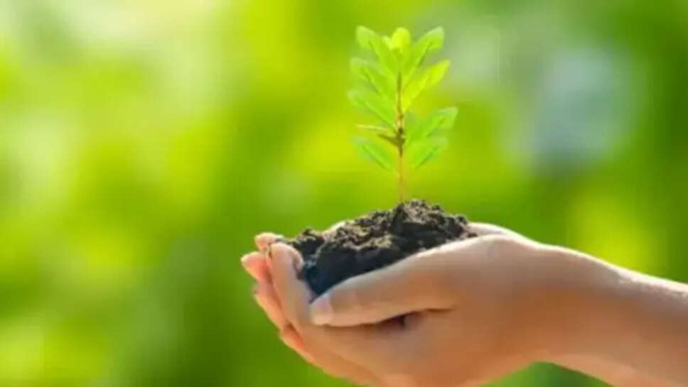वन महोत्सव सप्ताह