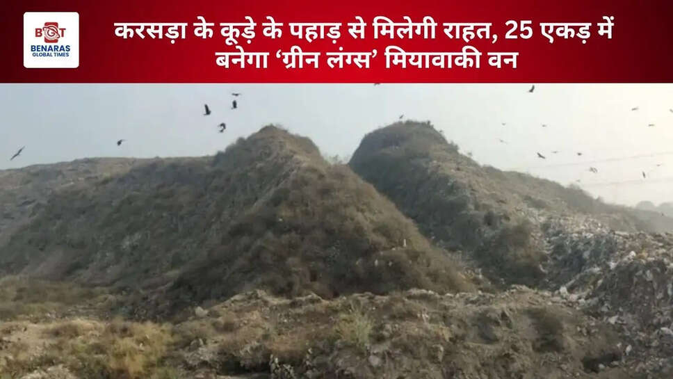  करसड़ा के कूड़े के पहाड़ से मिलेगी राहत, 25 एकड़ में बनेगा &lsquo;ग्रीन लंग्स&rsquo; मियावाकी वन