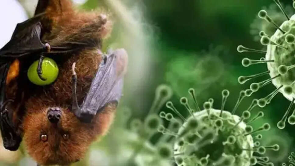 Nipah
