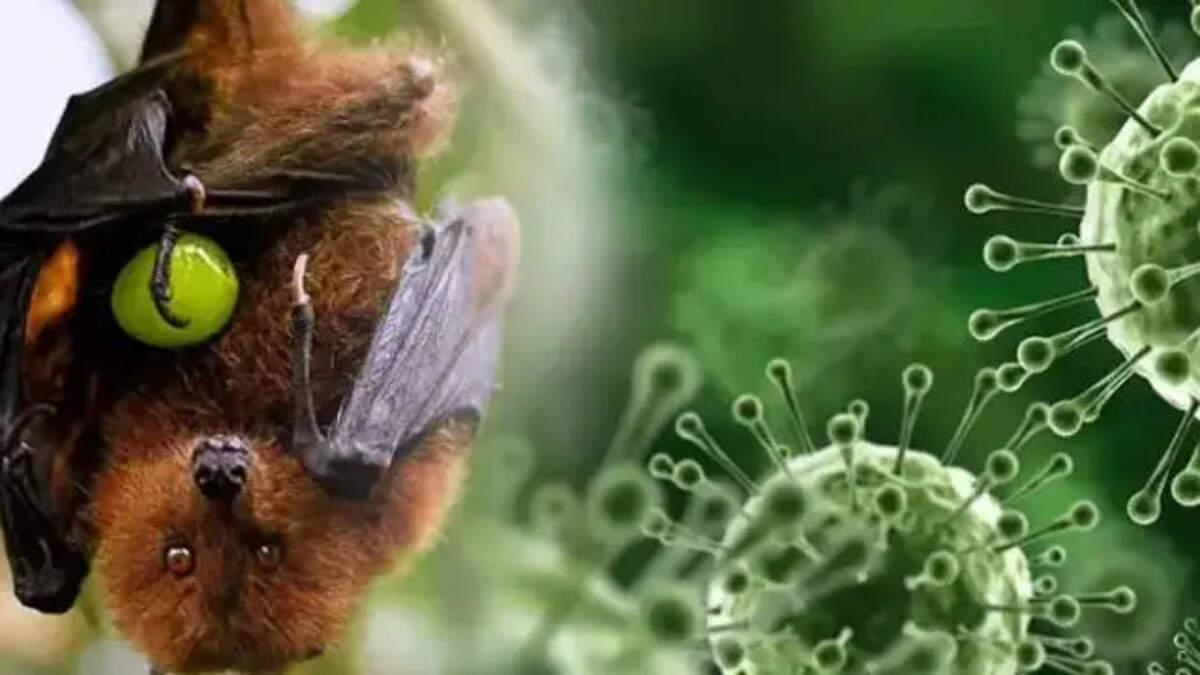 Nipah