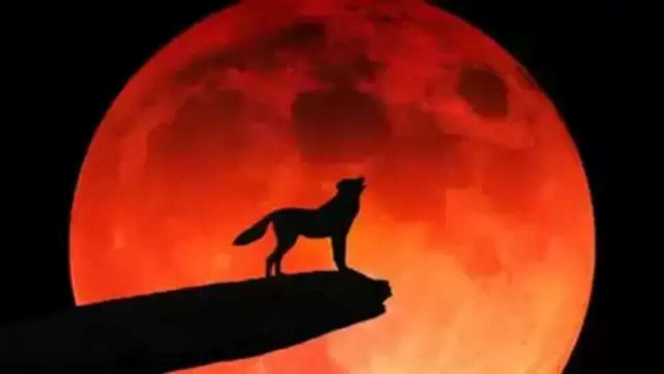 Wolf Supermoon