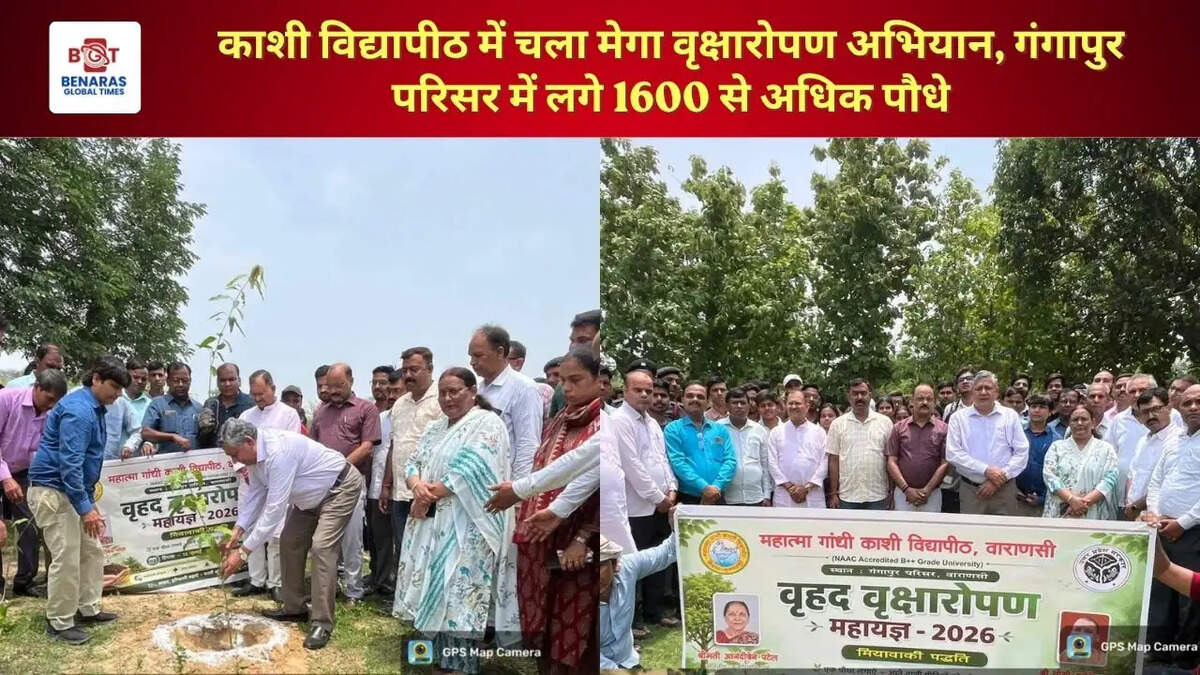 काशी विद्यापीठ में चला मेगा वृक्षारोपण अभियान, गंगापुर परिसर में लगे 1600 से अधिक पौधे