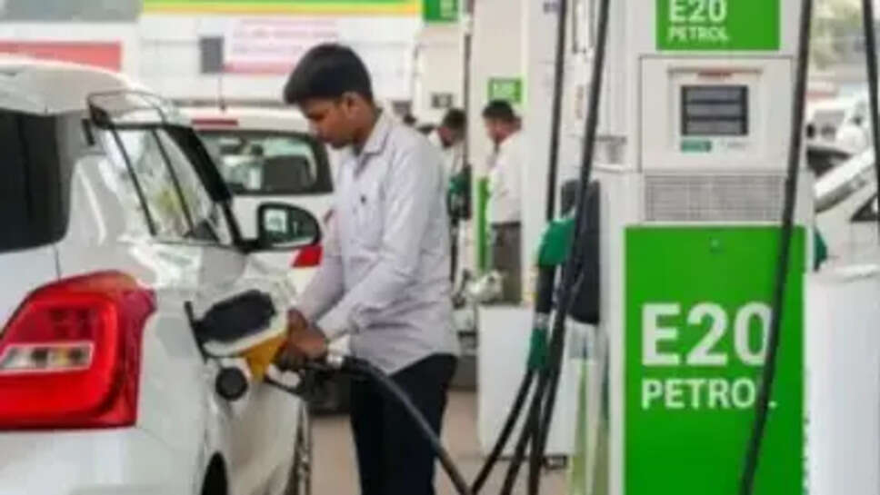 E20 Petrol Supreme Court