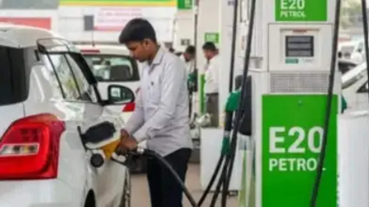 E20 Petrol Supreme Court