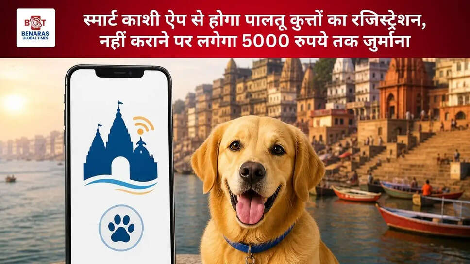 स्मार्ट काशी ऐप से होगा पालतू कुत्तों का रजिस्ट्रेशन, नहीं कराने पर लगेगा 5000 रुपये तक जुर्माना ​​​​​​​