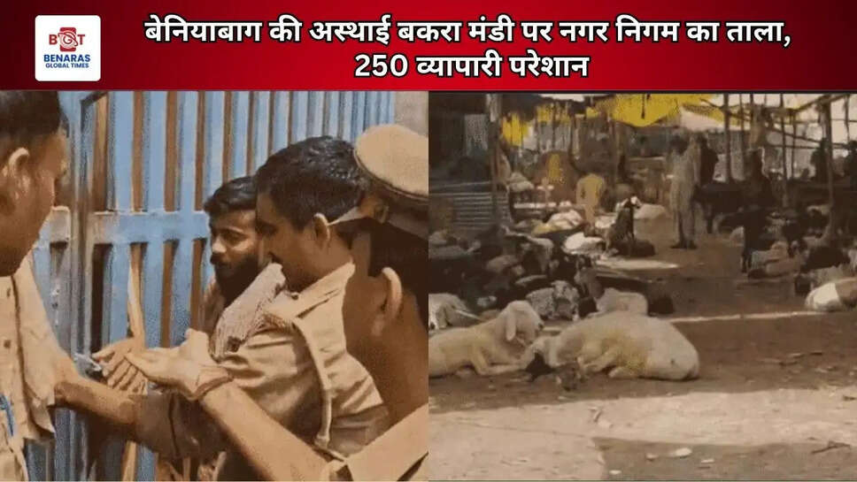  बेनियाबाग की अस्थाई बकरा मंडी पर नगर निगम का ताला, 250 व्यापारी परेशान