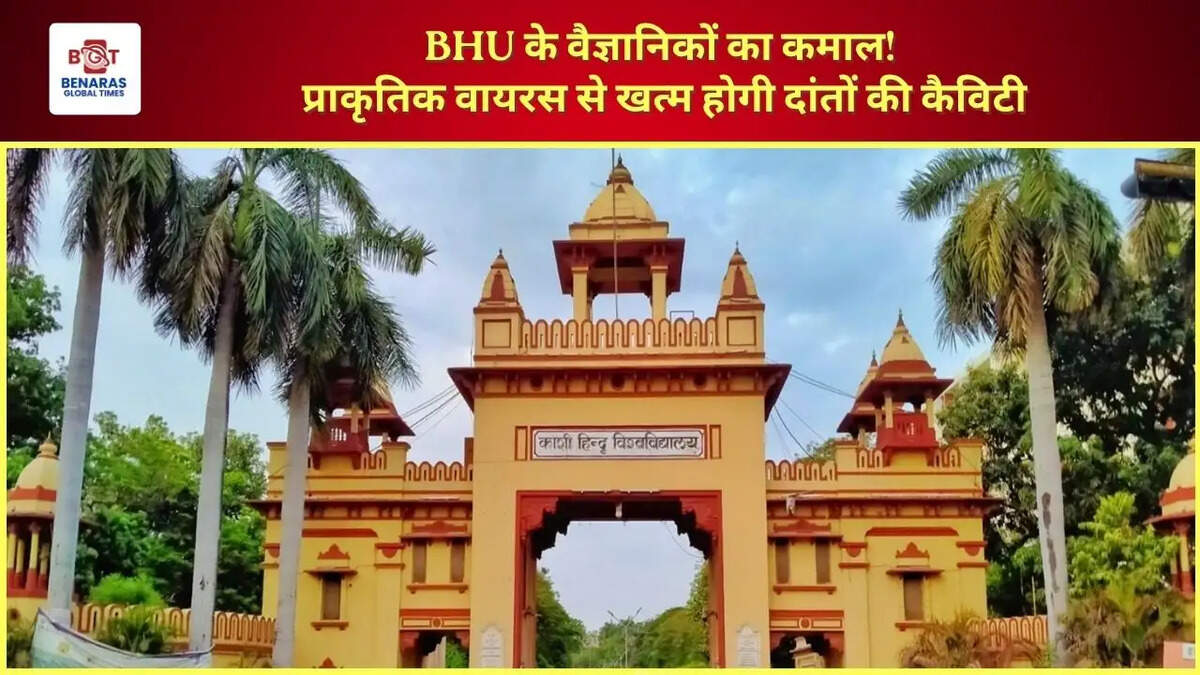  BHU के वैज्ञानिकों का कमाल! प्राकृतिक वायरस से खत्म होगी दांतों की कैविटी