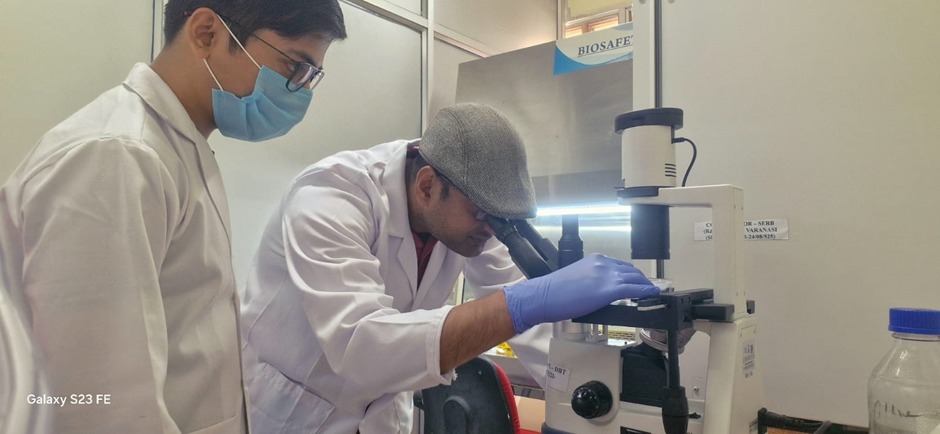 ALS के इलाज में क्रांति: 3D बायोप्रिंटिंग से बनेगा सेल-आधारित चिकित्सा उपकरण ALS के इलाज में क्रांति: 3D बायोप्रिंटिंग से बनेगा सेल-आधारित चिकित्सा उपकरण ALS के इलाज में क्रांति: 3D बायोप्रिंटिंग से बनेगा सेल-आधारित चिकित्सा उपकरण