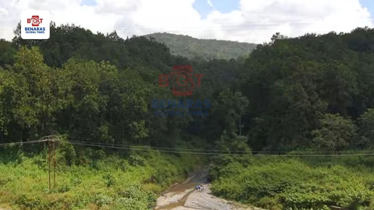 उत्तराखंड के वन विभाग ने 40 हजार हेक्टेयर वन भूमि को विकास योजनाओं के लिए हस्तांतरित किया