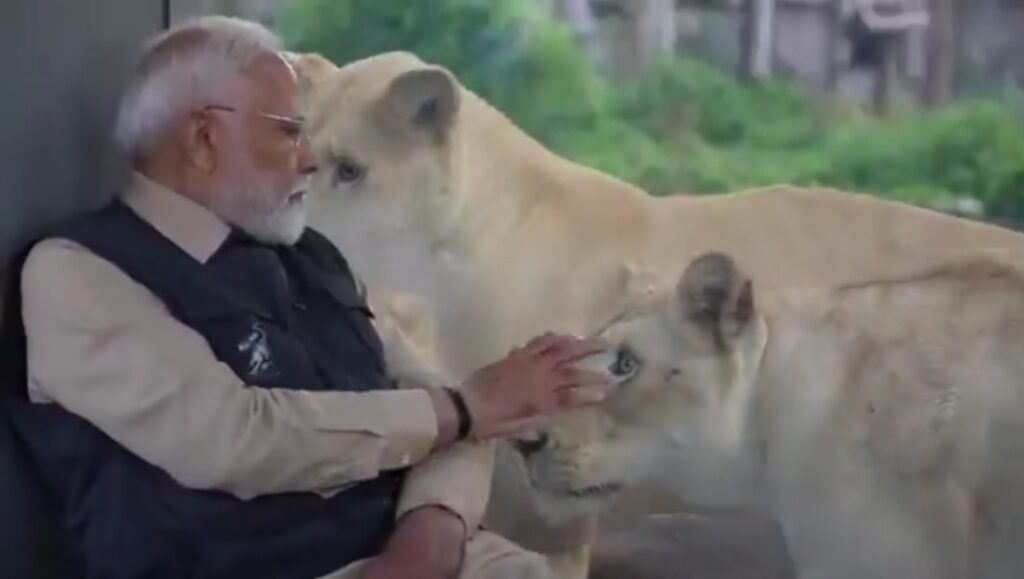 Vantara: प्रधानमंत्री मोदी ने गुजरात में वन्यजीव संरक्षण केंद्र 'वनतारा' का किया उद्घाटन, लुप्तप्राय जीवों के पुनर्वास की पहल को सराहा Vantara
