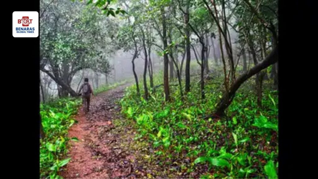 Forest Department: वन विभाग की पहल, स्कूलों में विद्यार्थियों को मिलेगी पौधरोपण की ट्रेनिंग Forest Department: वन विभाग की पहल, स्कूलों में विद्यार्थियों को मिलेगी पौधरोपण की ट्रेनिंग Forest Department: वन विभाग की पहल, स्कूलों में विद्यार्थियों को मिलेगी पौधरोपण की ट्रेनिंग