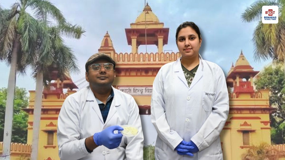 IIT BHU ने विकसित किए थ्रोम्बोसिस रोकने वाले नैनोकण, 48 घंटे तक असरदार