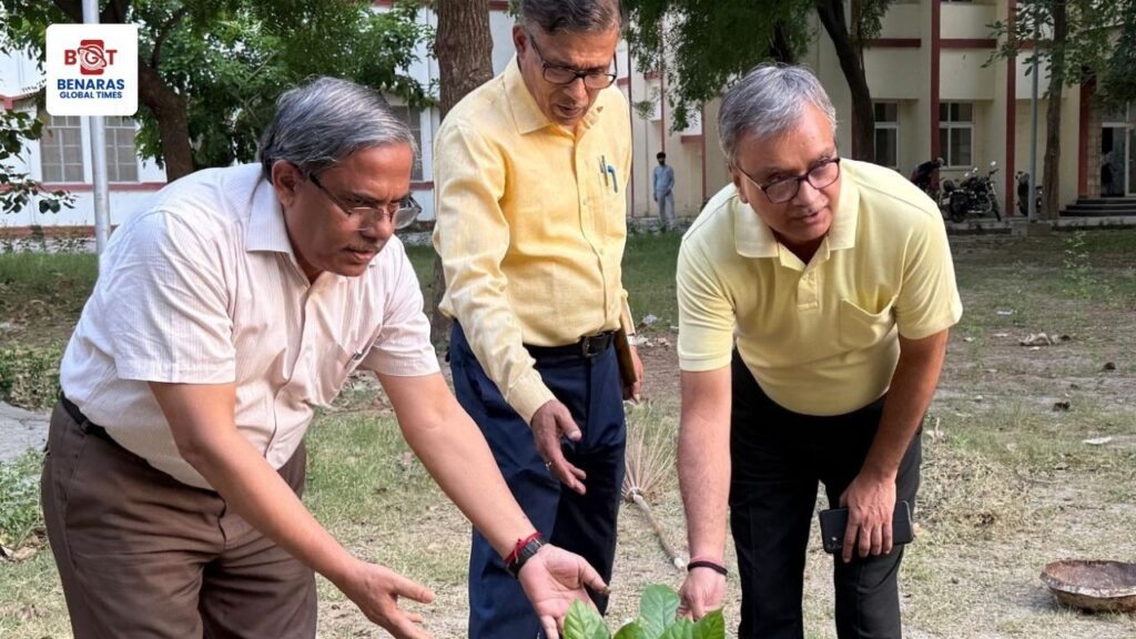 World Environment Day 2025: IIT BHU में पौधारोपण कर दिया गया हरित संदेश World Environment Day 2025: IIT BHU में पौधारोपण कर दिया गया हरित संदेश World Environment Day 2025: IIT BHU में पौधारोपण कर दिया गया हरित संदेश