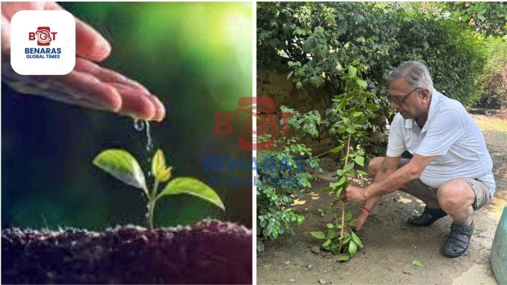 संकल्प संस्था ने World Environment Day पर किया पौधारोपण, दिया हरित भविष्य का संदेश World Environment Day