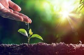 संकल्प संस्था ने World Environment Day पर किया पौधारोपण, दिया हरित भविष्य का संदेश संकल्प संस्था ने World Environment Day पर किया पौधारोपण, दिया हरित भविष्य का संदेश संकल्प संस्था ने World Environment Day पर किया पौधारोपण, दिया हरित भविष्य का संदेश