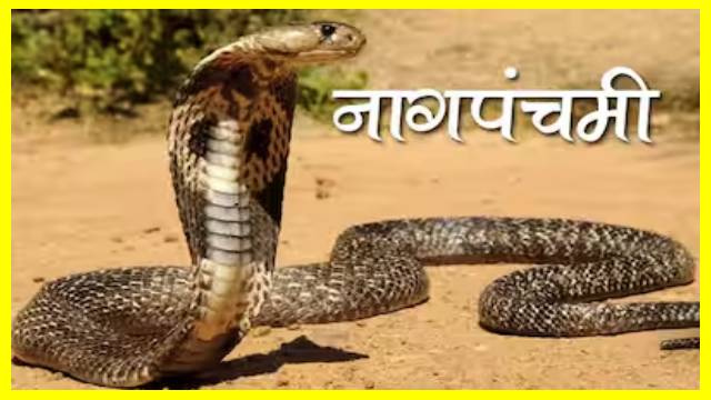 Nag Panchami 2025 : कब है नाग पंचमी? जानें डेट शुभ मुहूर्त और धार्मिक महत्व Nag Panchami 2025