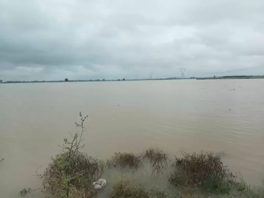 Water level : राजातालाब के शाहंशाहपुर गांव में बढ़ते बाढ़ के पानी से फसलें डूबीं, संपर्क मार्ग कटने की आशंका Water level